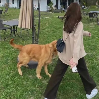 濒于崩溃